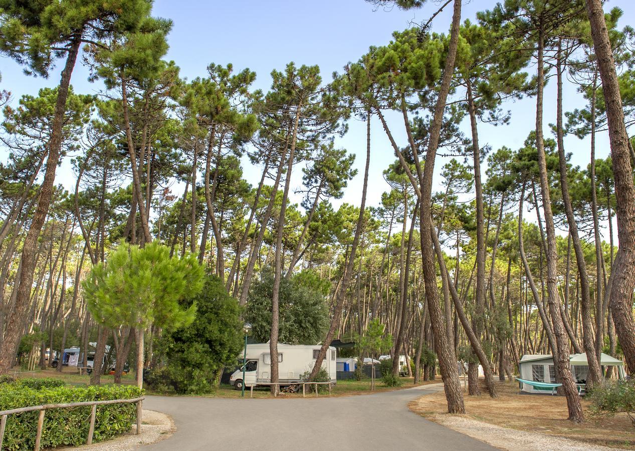 Campeggio Baia Verde Castiglione della Pescaia Exterior photo