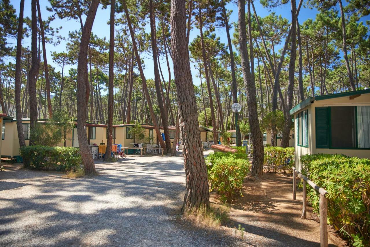 Campeggio Baia Verde Castiglione della Pescaia Exterior photo